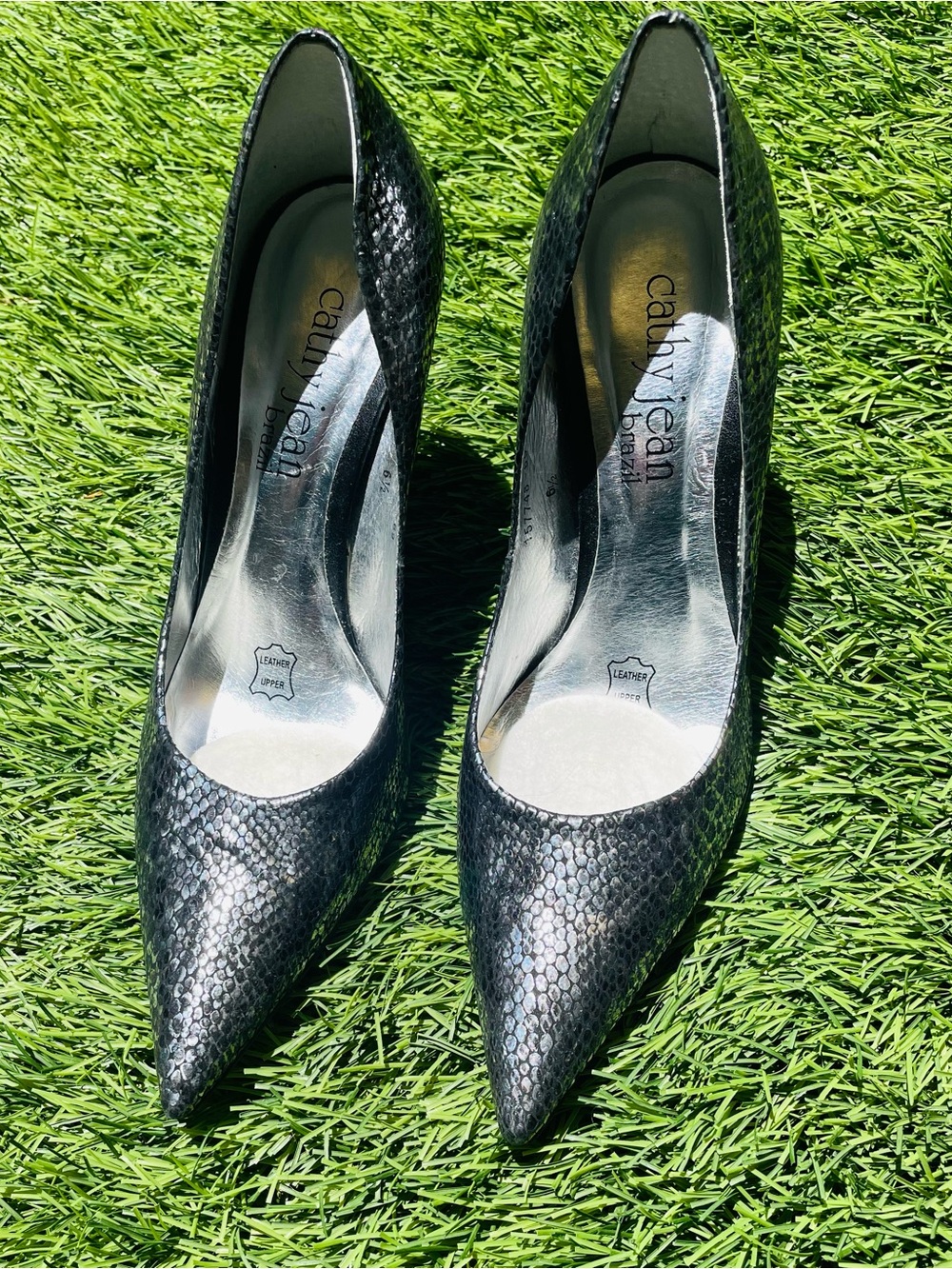 Cathy Jean Silver Black Snake-Embossed Pointed Pumps 4”